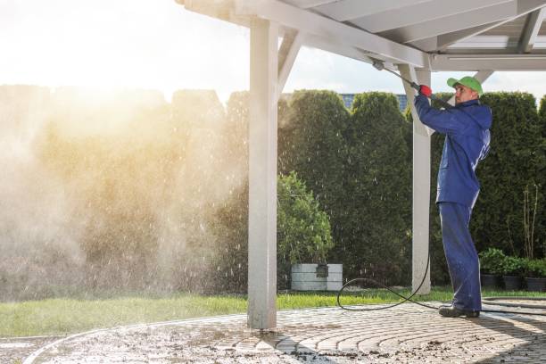 Best Solar Panel Cleaning  in Clinton, MO